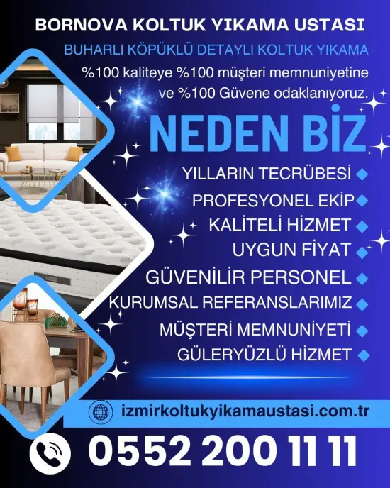 Bornova koltuk yıkama şirketleri